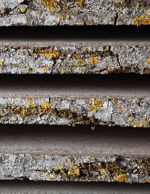 Planches de bois séchées